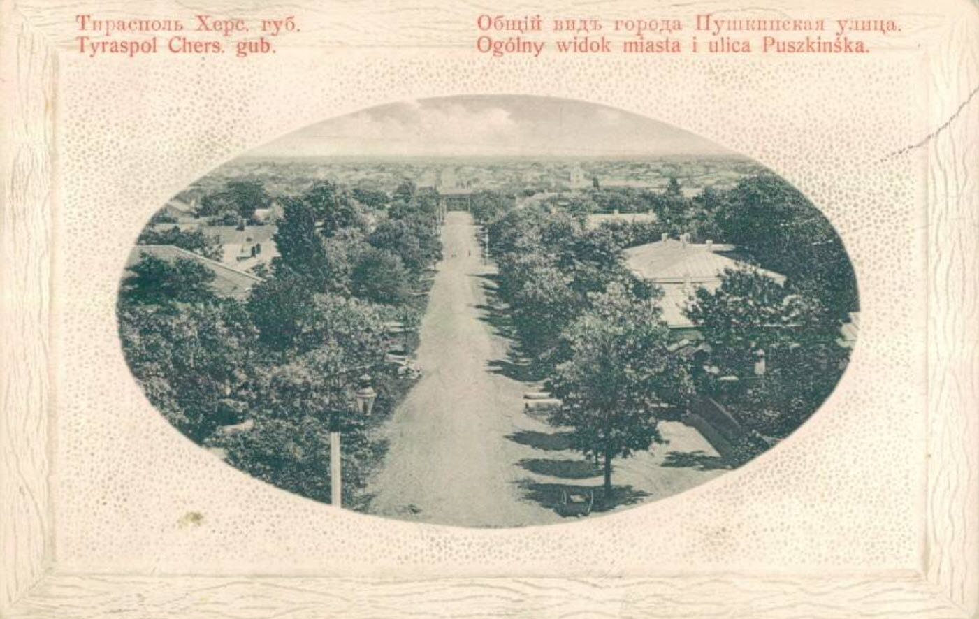 Общий вид города. Пушкинская улица